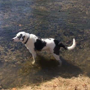 Meet your Posher, Kara